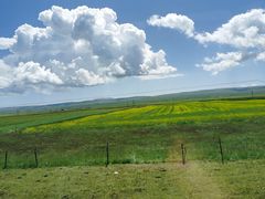 -青海湖国家重点风景名胜区