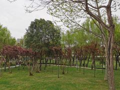 -唐城墙遗址公园