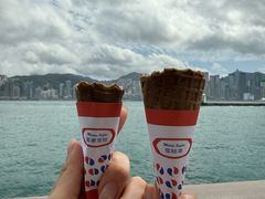 -富豪雪糕车流动点(尖沙咀店)