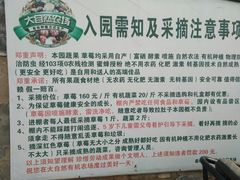 -大自然农场蔬菜草莓采摘园