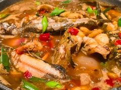 -阿露佳·舌尖上的安吉菜