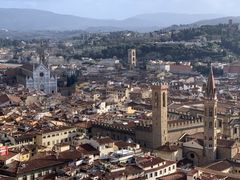 -圣母百花大教堂穹顶