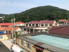 -大鹿岛