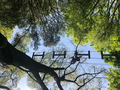 -WeLope紫金山探险公园