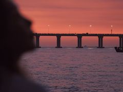 -宝安西湾红树林湿地公园