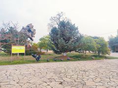 -苏州太湖国家湿地公园