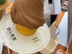 -野人先生Gelato(上海长宁龙之梦店)