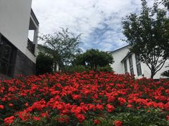 -天地生态农庄
