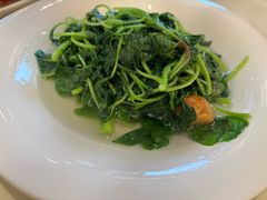 上汤蒜子泡苋菜-利苑酒家(金宝店)