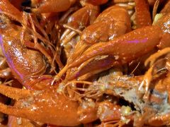 -四禧精酿铜锅涮肉·烧烤工场(大明湖店)