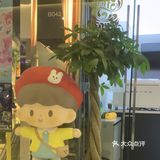 炸鸡控的美食打卡日记