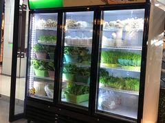 -东椰·海南椰子鸡火锅(朝阳门店)