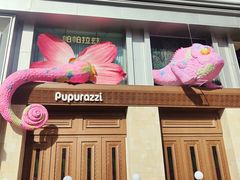 -帕帕拉兹宠物(亚洲旗舰店)