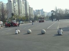 -大宁郁金香公园-停车场