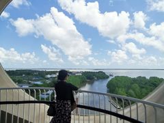 -东寨港红树林旅游区