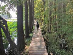 -东湖落雁景区