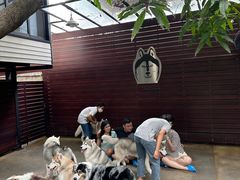 -TrueLove @ Neverland (Husky Cafe)