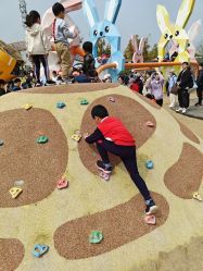 -季高兔窝窝亲子园(上海薰衣草公园店)