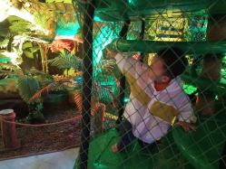 -恐龙探索乐园(磁器口店)