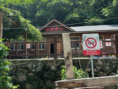 -大岭沟猕猴桃谷风景区