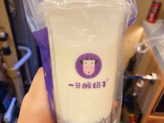 -一只酸奶牛(八一路店)