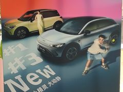 -上海浦东smart汽车全功能店(金桥店)