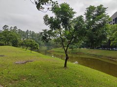 -东莞松山湖凯悦酒店