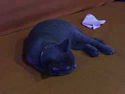 -BBVR团建聚会体验馆·亲子DIY手工