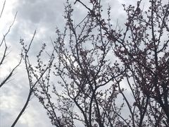 -上海棕榈滩海景酒店