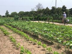 -妈妈的小作坊(陈家镇店)