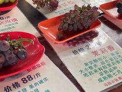 -马陆小张葡萄园农家乐