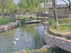 -三里河公园