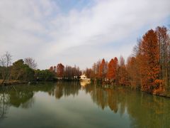 -上海海湾国家森林公园