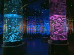 -石家庄海洋公园