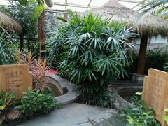 -南宫温泉水世界