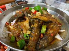 憨头鱼-龙小海荆沙鸽子店(瑞安街店)