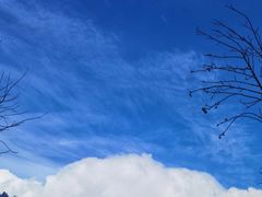 -横道河子东北虎林园