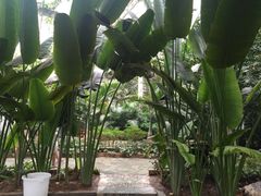 -龙达温泉生态城