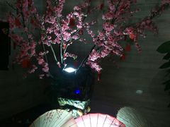 -宁波逸东豪生大酒店·豪生咖啡厅