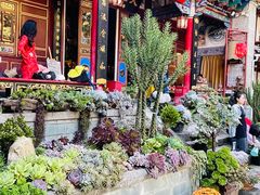 -寂照庵