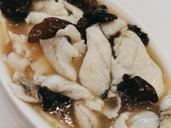 糟溜鲈鱼片-雪园上海饭店(港湾1号店)
