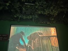 -上足·影院足道·SPA(红岭店)