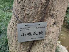 -杭州植物园