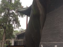 -关林
