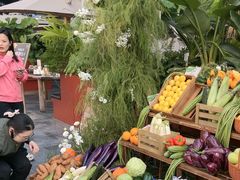 -蘑界·野生菌火锅(深业上城店)