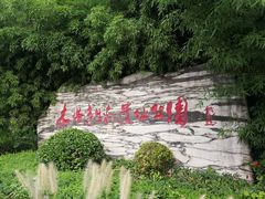 -木塔寺遗址生态公园