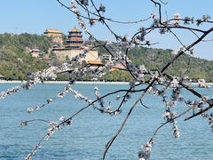 -颐和园