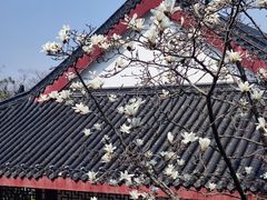 -堤角公园