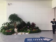 -福州长乐国际机场