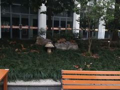 -上海长江软件园